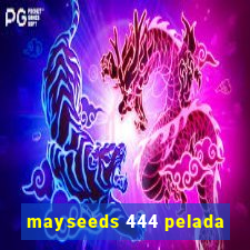 mayseeds 444 pelada